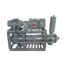 gas recirculation cooling roots gas vacuum pump system